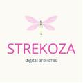 Digital агентство Strekoza-продвижение вашего бизнеса в сети.